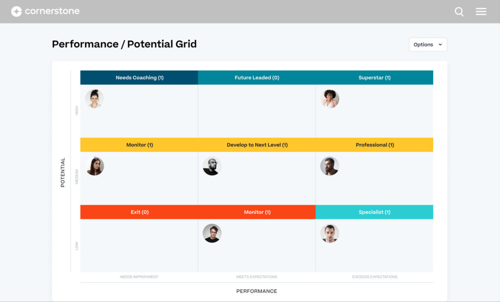 Cornerstone Performance screenshot - Guida Ai 28 Migliori Strumenti Per La Pianificazione Della Successione Del 2026